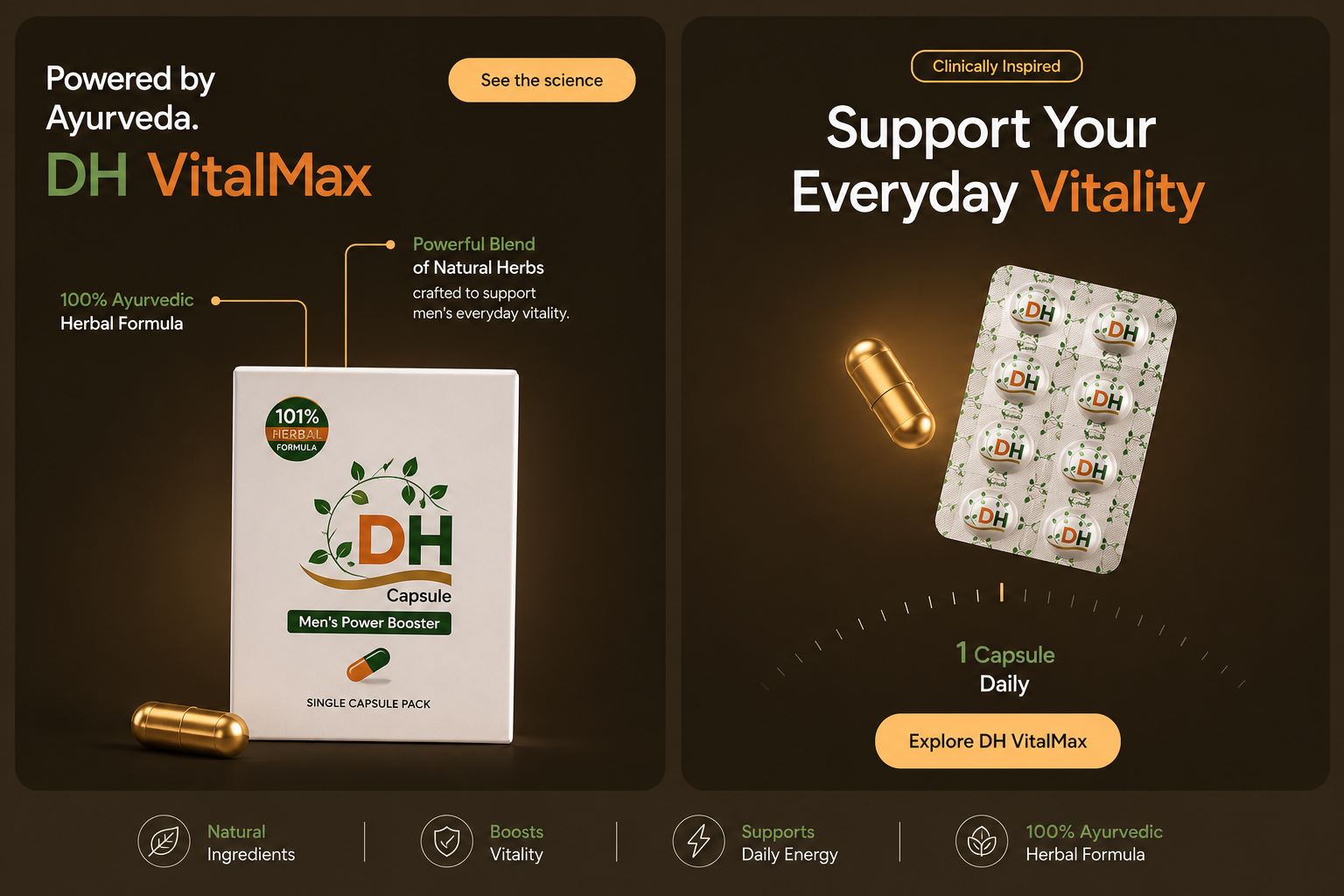 DH VitalMax — rooted in Ayurvedic tradition